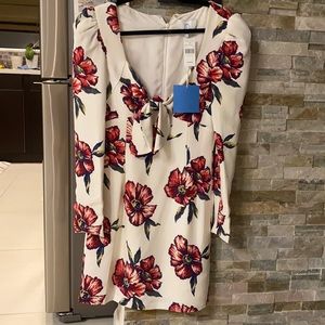 Brand new Rebecca de Ravenel dress , perfect for girl size 2-4